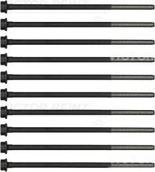 Victor Reinz Sada skrutiek hlavy valcov VICTOR REINZ 14-32375-01 (14-32375-01)