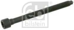 Febi Bilstein Skrutka hlavy valcov FEBI BILSTEIN 26425 (26425)