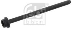 Febi Bilstein Skrutka hlavy valcov FEBI BILSTEIN 14346 (14346)