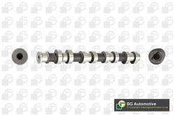 BGA Vačkový hriadeľ BGA CS1454 (CS1454)