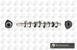 BGA Vačkový hriadeľ BGA CS9901 (CS9901)