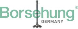 Borsehung Sací ventil Borsehung B19023 (B19023)