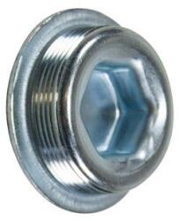 Trucktec Automotive Uzatváracia skrutka, kľuková skriňa TRUCKTEC AUTOMOTIVE 02.10. 099 (02.10.099)