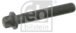 Febi Bilstein Ojničná skrutka FEBI BILSTEIN 24431 (24431)