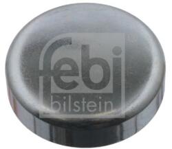 Febi Bilstein Protimrazová poistka FEBI BILSTEIN 31793 (31793)