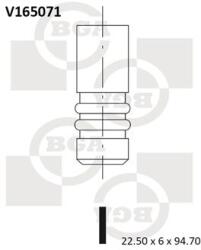 BGA Zawor Wydechowy (v165071)