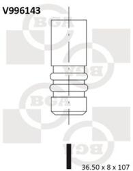 BGA Zawor Ssacy (v996143)