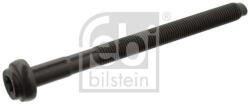 Febi Bilstein Skrutka hlavy valcov FEBI BILSTEIN 15696 (15696)