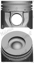 NÜRAL Piest NÜRAL 87-148100-30 (87-148100-30)