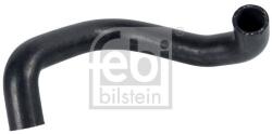 Febi Bilstein Hadica chladenia FEBI BILSTEIN 172579 (172579)