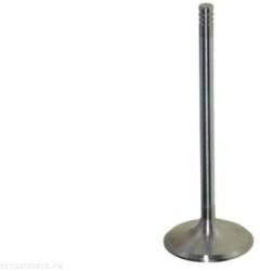 AUTOMEGA Sací ventil AUTOMEGA 130107210 (130107210)