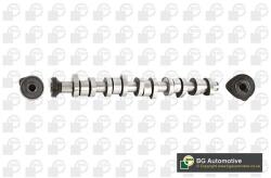 BGA Vačkový hriadeľ BGA CS9650 (CS9650)