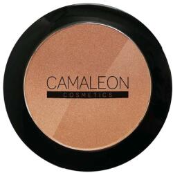 Camaleon bronzosító púder 10g