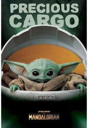 Pyramid Star Wars: The Mandalorian (Precious Cargo) maxi poszter (PP34610) - reflexshop
