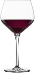 Zwiesel Glas Pahar pentru vin de Burgundia ROULETTE 607 ml, set de 2 buc, Zwiesel Glas (ZWI122612) Pahar