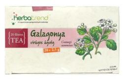  Galagonya tea filteres HERBATREND (20x)