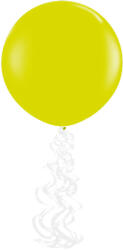Balloons4party Set 6 cozi baloane alb 50 cm