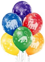 Balloons4party Set 6 baloane latex animale zoo 30 cm 5414391004502