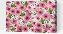  Festés számok szerint - Virágos háttér Méret: 40x60cm, Keretezés: Műanyagtáblával