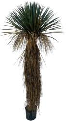 Bizzotto Planta Yucca artificiala in ghiveci 70x70x180h (0173145)