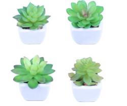 KEAIDUO Plante suculente artificiale cu ghiveci, 4 bucati Mini plante (B0C1ZVV2RB)