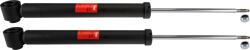 TRW amortizor TRW TWIN JGT314T (JGT314T)