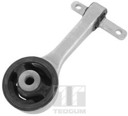 TEDGUM Uloženie, motor TEDGUM 00263046 (00263046)