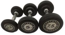 Dayu Fitness GANTERA ROTUNDA DIN POLIURETAN 2, 5 - 50 kg, 37, 5 kg