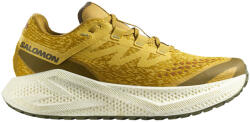 Salomon Aero Glide 3 GRVL Spicy Mustard/Vanilla Ice/Deep Lichen Green Férfi futócipő UK 10, 5 Férfi futócipő