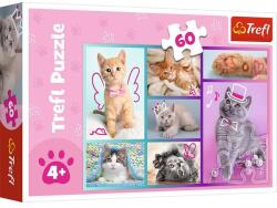 Trefl Puzzle 60 de piese - Pisici - Trefl Puzzle
