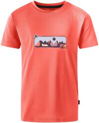 Dare2b Gyerekek/gyerekek Amuse II Mountain póló rózsaszín