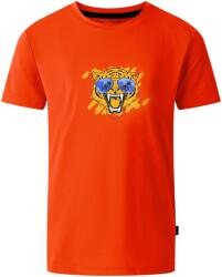 Dare2b Gyermekek/gyerekek Amuse II Tigris póló 3 - 4 EVES vörös