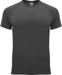 ROLY Férfi Bahrein rövid ujjú sport póló 2XL kék|szürke