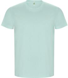 ROLY Férfi Golden Plain rövid ujjú póló S zöld