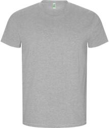 ROLY Férfi Golden Plain rövid ujjú póló S szürke