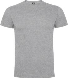 ROLY Férfi Dogo Premium póló 4XL szürke