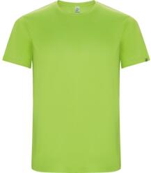 ROLY Férfi Imola rövid ujjú sport póló XL szürke