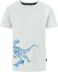 Dare2b Fiúk Amuse II Velociraptor póló zöld