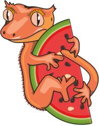  Blue River Diet - Görögdinnye ízesítéssel - 60g