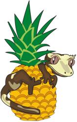  Blue River Diet - Ananász ízesítéssel - 60g