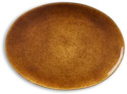 Bitz Platou de servit 45 x 34 cm, negru/chihlimbar, Bitz (BITZ821287) Castron