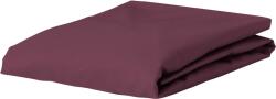 Essenza Cearșaf cu elastic Premium Percale 100 x 200 cm violet (400979-103-293)