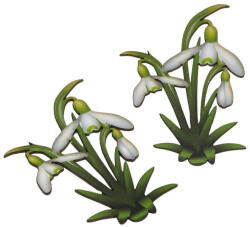 Nyomtatott dekorkarton - Hóvirág 2db