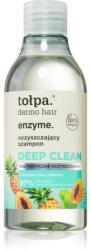 tołpa Dermo Hair Enzyme curatarea profunda a scalpului pentru păr 300 ml