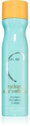 Malibu C Hydrate Color Wellness tisztító sampon festett hajra 266 ml
