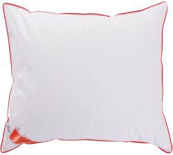 Best Sleep libatoll párna, 40x40x20 cm, 100% libatoll töltet, 100% pamut, Közepesen puha keménységű, Fehér/Piros
