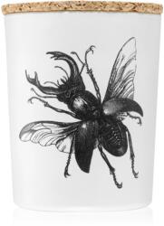 Vila Hermanos Insect Lucanus Cervus illatgyertya 75 g