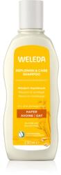 Weleda Oat sampon pentru regenerare pentru păr uscat și deteriorat 190 ml