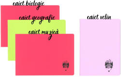 DACO Set caiete Daco coperta plastic - Muzica + Biologie + Geografie + Velin, Fete (SET-CSDACO/FETE)