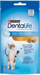  PURINA Dentalife Cat cu pui 40 g